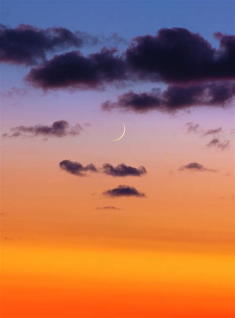 Crescent Moon Sunset Photograph By Alyssia Stacey Orchard Fine Art