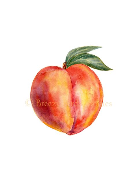 Peach Print Watercolour Peach Kitchen Print Watercolor Etsy Australia