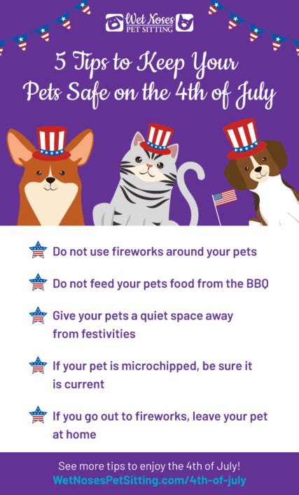 5 Tips To Keep Your Pets Safe On The 4th Of July Wet Noses Pet Sitting