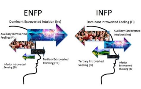 Infp Vs Enfp How To Know The Difference Myers Briggs Mbti Amino