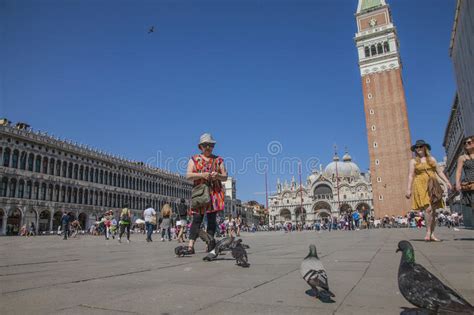 San Marco Square Venice Italy Walking Pigeons Editorial Image