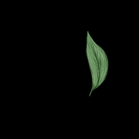 Falling Leaf Animation By Gyzmo95 On Deviantart Autumn Leaves
