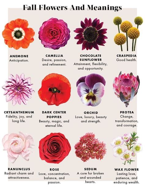 The Language Of Flowers Heather De Kok Floral Design