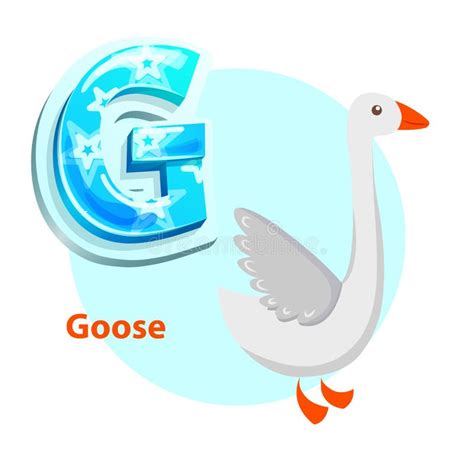 Letter G For Goose Cartoon Alphabet For Children Stock Vector