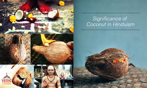 Significance Of Coconut In Hinduism Vedic Tribe