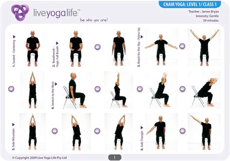 Yoga With A Chair Complete Set Classes 1 To 7 Live Yoga Life