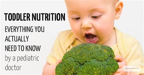 Toddler Nutrition Everything You Actually Need To Know
