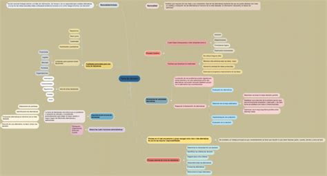 Mapas Mentales De La Toma De Decisiones 【descargar】