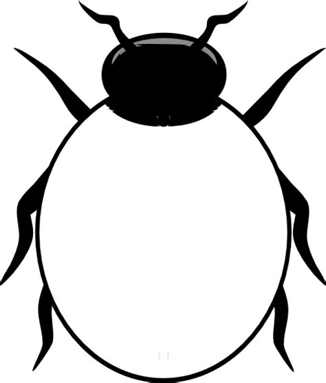 Free Beetle Outline Cliparts Download Free Beetle Outline Cliparts Png