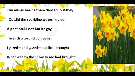 English Recitation Poem Daffodils By William Wordsworth For