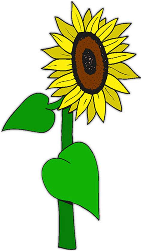 Free Sunflowers Animated S Clipart