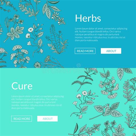 Vector Hand Drawn Medical Herbs Web Banner Templates Illustration Stock