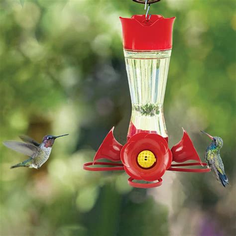Perky Pet Adjustable Perch Glass Hummingbird Feeder 20 Oz Capacity