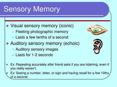 Ppt Memory Powerpoint Presentation Free Download Id1180359