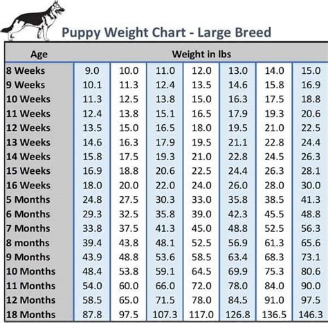 Use these perfectly rawsome calculators to help calculate how much pet parents should feed their dogs, cats, puppies, & kittens through a pmr or barf diet. Female Beagle Growth Chart