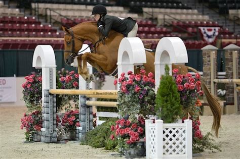 Gochman And Sambalino Baker And Q Robinson And Sutton Place Awarded Grand Hunter Titles For