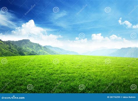 Field Of Grass In Mountain Stock Image Image Of Park 28776299