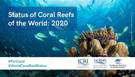 Status Of Coral Reefs Of The World Report 2020 Marine Ecology Consulting
