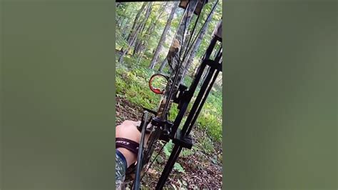 Maine Expanded Archery Deer Hunting Shots Fired Youtube