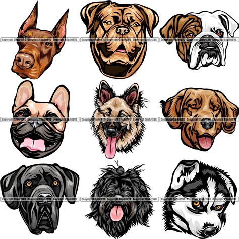 9 Dog Breed Head Face Top Selling Color Designs Bundle Clipart Svg
