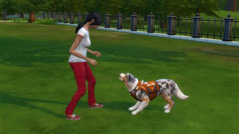 Mod The Sims Service Dog Harnesses And Bandanas