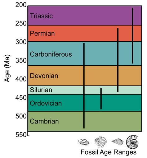 Geological Time Table Of Evolution Elcho Table