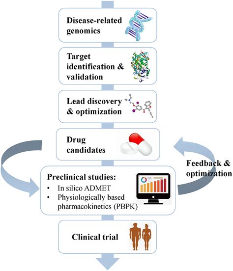 Frontiers Computational Approaches In Preclinical Studies On Drug