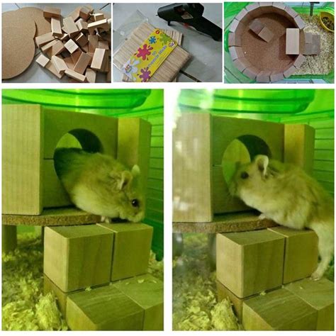 Diy Hamster Play House Hamster Diy Homemade Pet