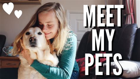 Meet My Pets September 2019 Hannah Cerys Youtube