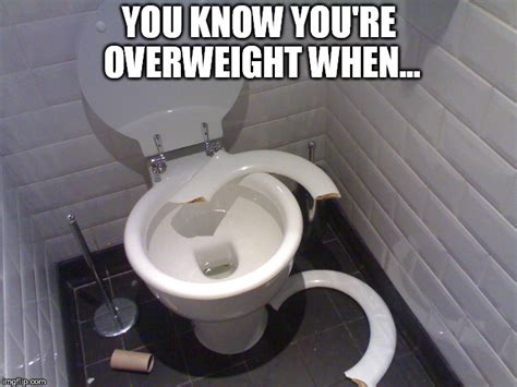 Overweight Toilet Imgflip