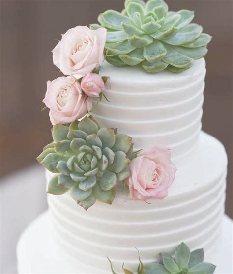 A Three Tiered Cake With Succulents And Roses On Top