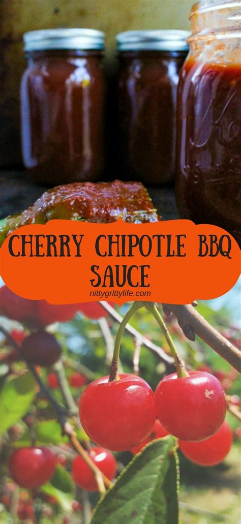 The best cherry bourbon sauce recipes on yummly | bourbon sauce, honey bourbon sauce, sticky bourbon sauce. Cherry Chipotle BBQ Sauce | Recipe | Bbq sauce, Bbq sauce ...