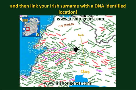 Irish Origenes Use Your Dna To Rediscover Your Irish Origin Irish Origenes Use Your Dna To