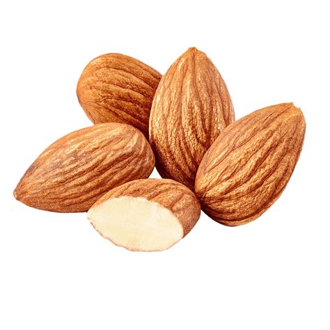 Almond Nuts Png Image Png All Png All