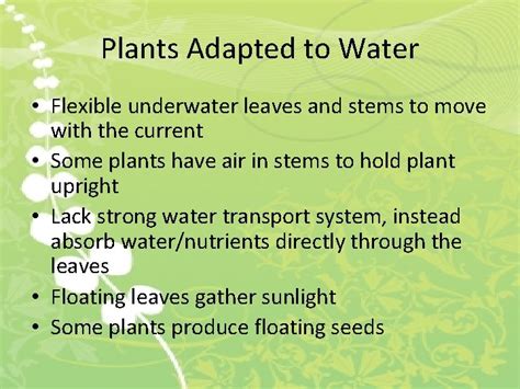 Plant Adaptations An Adaptation Is A Characteristic Which