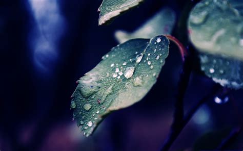 1086175 Night Water Reflection Rain Water Drops Drop Darkness