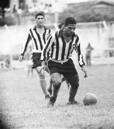 Pin De Higor H7 ★彡 Em H7 Clubes Do Coração Garrincha Botafogo Futebol