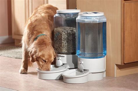 Auto Cat Feeder Feeder Cat Feeders Automatic Dog Super Proof Raccoon