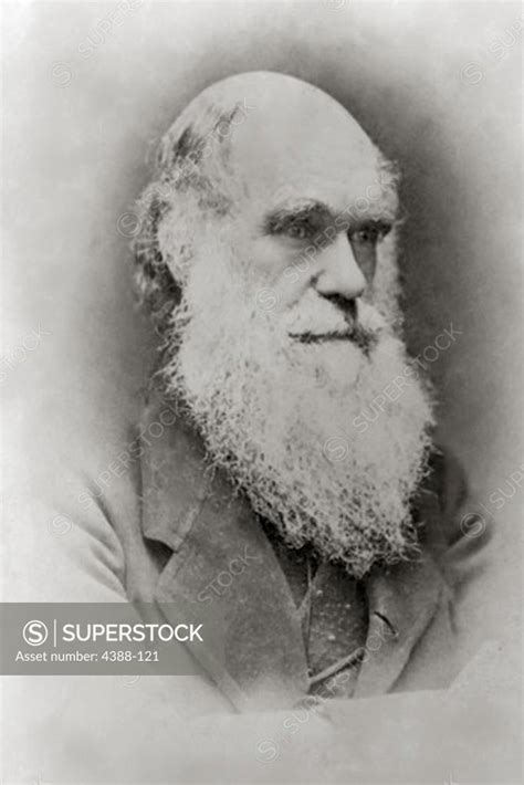 Charles Darwin Superstock