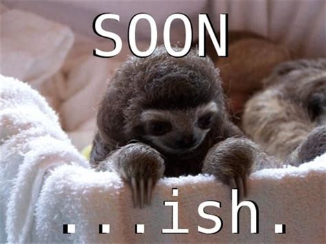 15 Awesome Memes Facebook Doesnt Want You To See Baby Sloth Sloth