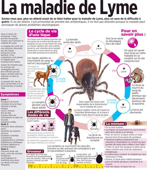 Maladie De Lyme La Pression Monte En France Maj
