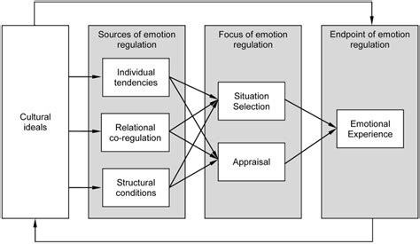 Three Sources Of Antecedent Focused Emotion Regulation In Cultural