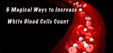 6 Magical Ways To Increase White Blood Cells Count