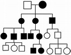 Genograma y árbol genealógico | Medicina de Familia. SEMERGEN