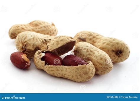 Peanuts Stock Photo Image Of Brown Nutty Ingredient 9614084