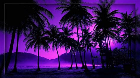 Beach At Night Wallpapers Top Free Beach At Night Backgrounds