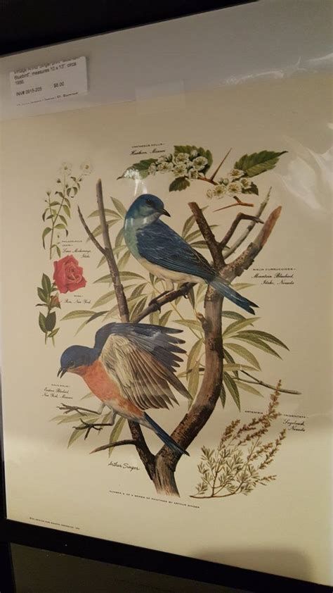 Vintage Arthur Singer Print Mountain Bluebird And Etsy Blue Bird