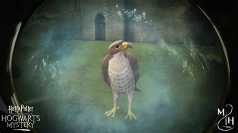 Harry Potter Hogwarts Mystery Año Recuerdo Aventuras de Animago YouTube
