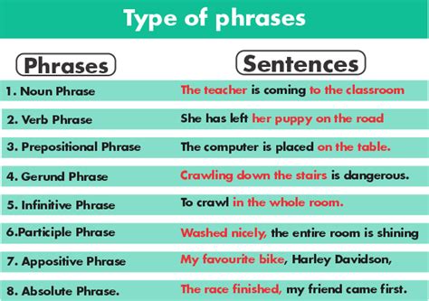 Types Of Phrases Javatpoint