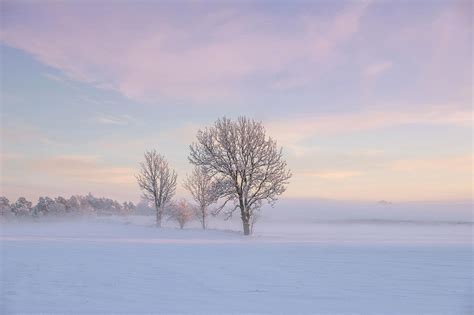 Pastel Winter Mood Shot Two Month Ago In South West Sweden 2048x1365